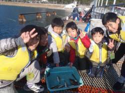 釣りKIDS達のサビキ釣り釣果 in 須磨…