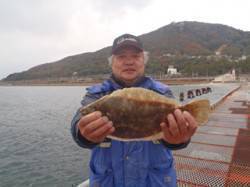マムシを使った投げ釣りでカレイ　須磨海づり…