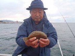 須磨海づり公園、連日投げ釣りでカレイあがってます