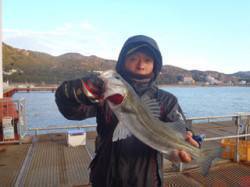 須磨海づり公園、ウキ流し釣りで51cmのハ…