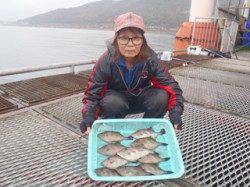 ハゲ掛け釣りでウマヅラ10匹！須磨海づり公園