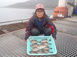 ハゲ掛け釣りでウマヅラ10匹！須磨海づり公…