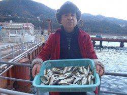 須磨海づり公園、サビキでアジ150尾！午前中の釣果です