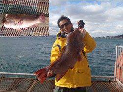 須磨海釣り公園　ブッコミ釣りで良型コブダイ！