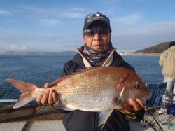 シラサのウキ流し釣りでマダイ！須磨海づり公…