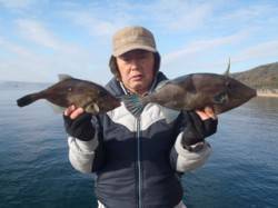 【25日】須磨海づり公園でハゲ掛け釣り　3…