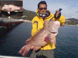 須磨海釣り公園　ブッコミ釣りでコブダイ75.5cm！