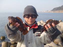 須磨海釣り公園　落とし込みでガシラゲット