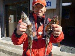 湯浅の磯　ヤエンのアオリイカ釣果