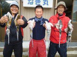 湯浅の磯、ヤエン、3人でアオリ6杯の釣果