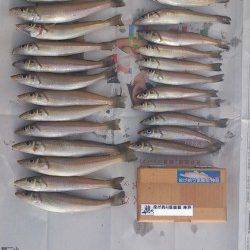 由良　投げ釣りでのキス狙いは満足釣果！