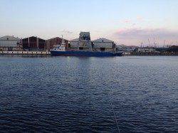 大阪南港、夕方のエビ撒き釣り釣行