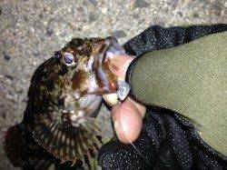 轟　剛鉄様より【ジャングルジム製品】のモニターレポート