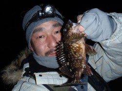 こめ様より【ジャングルジム製品】のモニターレポート