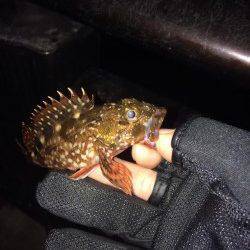 神戸空港でガシリング、ステイ後の初動にバイト