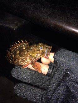 神戸空港でガシリング、ステイ後の初動にバイト