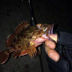神戸空港でガシリング、ステイ後の初動にバイト