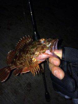 神戸空港でガシリング、ステイ後の初動にバイト