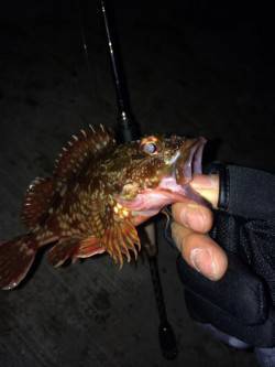 神戸空港でガシリング、ステイ後の初動にバイ…