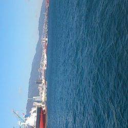 兵庫突堤 投げ釣りで穴子・サビキでママカリ、イワシなど