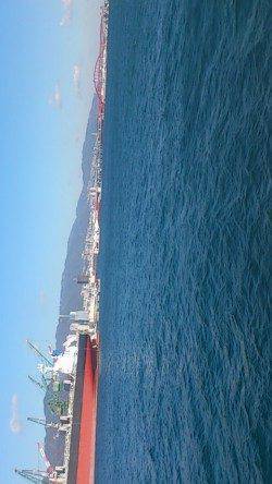 兵庫突堤 投げ釣りで穴子・サビキでママカリ、イワシなど