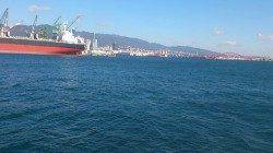 兵庫突堤 投げ釣りで穴子・サビキでママカリ、イワシなど