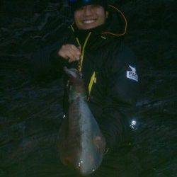 すさみで2014年の初イカ！キロアップもでました！