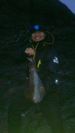 すさみで2014年の初イカ！キロアップもでました！