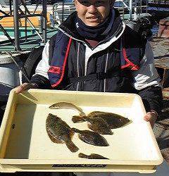 岸和田一文字、カレイ好調キープです♪