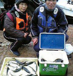 岸和田一文字　サビキで良型アジ狙えます☆