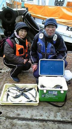 岸和田一文字　サビキで良型アジ狙えます☆