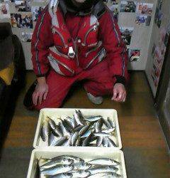 岸和田一文字　サビキで良型アジ狙えます☆