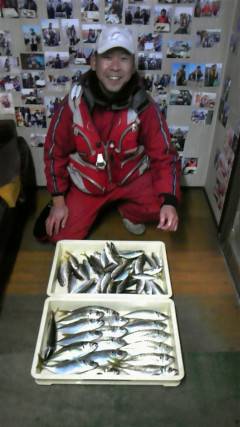 岸和田一文字　サビキで良型アジ狙えます☆