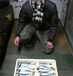 旧一文字赤灯 で30cmクラスのアジにサバ