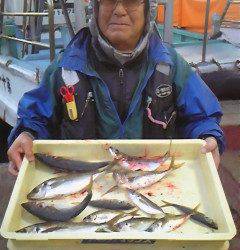 本日もデカアジが釣れています！一文字赤灯でサビキ