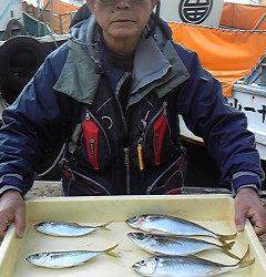 旧一文字赤灯、サビキでも良型アジ！