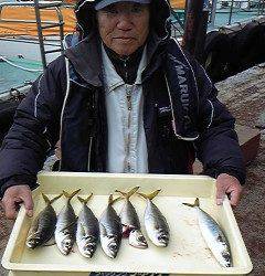 岸和田一文字、ウキ釣り・サビキ