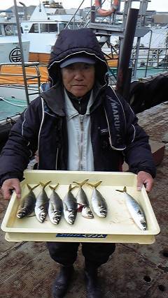 岸和田一文字、ウキ釣り・サビキ