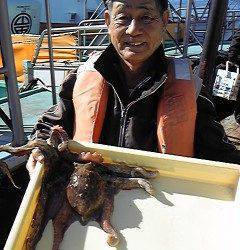 豚油をエサに1.5キロのタコＧＥＴ　〜沖一文字北〜