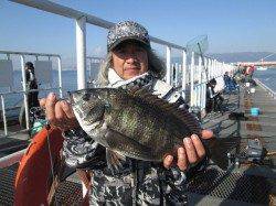 尼崎市魚つり公園　スズキクラスの良型もウキ釣りで狙える