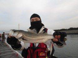 尼崎市魚つり公園　今日はハネ＆キビレ中心の釣果