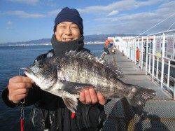 尼崎市魚つり公園、開園後は小キビレのアタリ多し