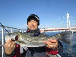 尼崎市魚つり公園、本日はほとんどが40UPのハネ！