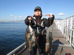 尼崎市魚つり公園、本日はほとんどが40UPのハネ！