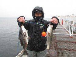 まだまだエビ撒き楽しめます！尼崎市魚つり公園