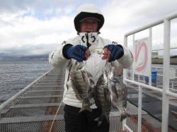 尼崎市魚つり公園、１月には珍しくチヌが数あ…