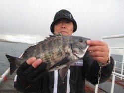 尼崎市魚つり公園、１月には珍しくチヌが数あがっています