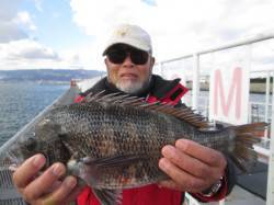 尼崎市魚つり公園、エビ撒きウキ釣りで年無し…