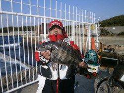 南港海釣り公園、ガシラの他に良型のチヌも！
