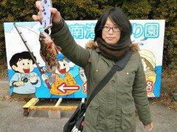 南港海釣り公園　アジ・ガシラ・サバの釣果